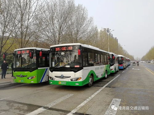 我縣道路旅客運(yùn)輸基本恢復(fù)運(yùn)行 道路旅客運(yùn)輸站經(jīng)營穩(wěn)步推進(jìn)